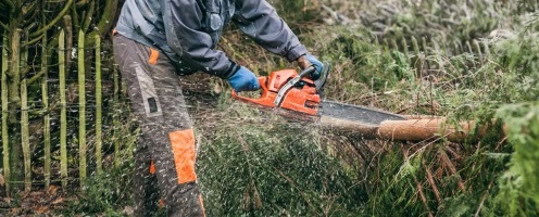 Mehr Power muss nicht: Ein Plädoyer für Akku-Kettensägen - Ratgeber @